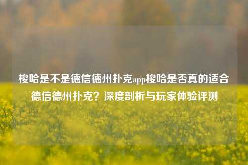 梭哈是不是德信德州扑克app梭哈是否真的适合德信德州扑克？深度剖析与玩家体验评测