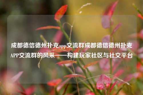 成都德信德州扑克app交流群成都德信德州扑克APP交流群的风采——构建玩家社区与社交平台