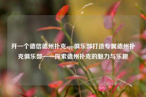 开一个德信德州扑克app俱乐部打造专属德州扑克俱乐部——探索德州扑克的魅力与乐趣