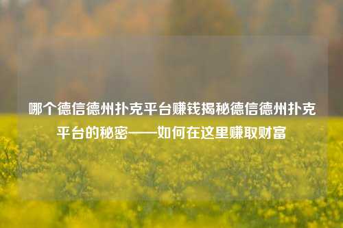 哪个德信德州扑克平台赚钱揭秘德信德州扑克平台的秘密——如何在这里赚取财富