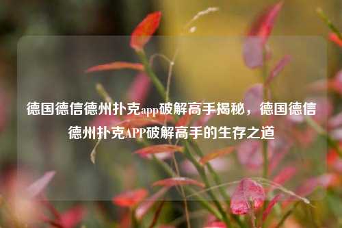 德国德信德州扑克app破解高手揭秘，德国德信德州扑克APP破解高手的生存之道