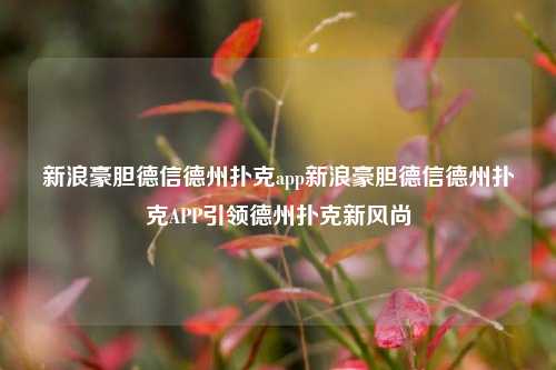 新浪豪胆德信德州扑克app新浪豪胆德信德州扑克APP引领德州扑克新风尚