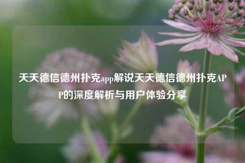 天天德信德州扑克app解说天天德信德州扑克APP的深度解析与用户体验分享