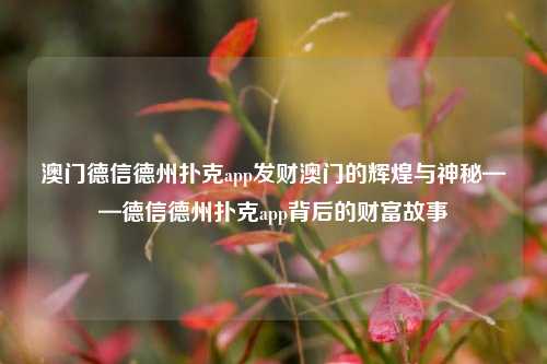 澳门德信德州扑克app发财澳门的辉煌与神秘——德信德州扑克app背后的财富故事