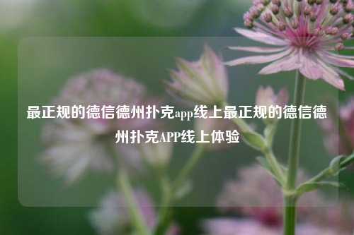 最正规的德信德州扑克app线上最正规的德信德州扑克APP线上体验