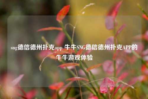 sng德信德州扑克app 牛牛SNG德信德州扑克APP的牛牛游戏体验