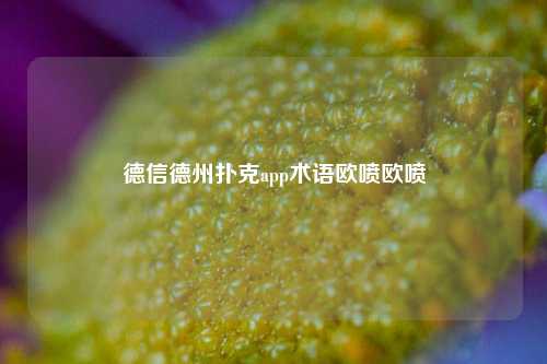 德信德州扑克app术语欧喷欧喷