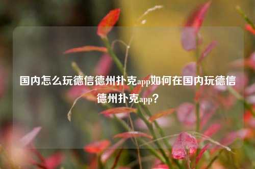 国内怎么玩德信德州扑克app如何在国内玩德信德州扑克app？