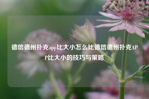 德信德州扑克app比大小怎么比德信德州扑克APP比大小的技巧与策略