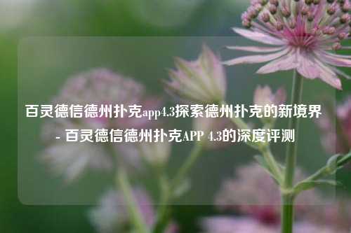 百灵德信德州扑克app4.3探索德州扑克的新境界 - 百灵德信德州扑克APP 4.3的深度评测