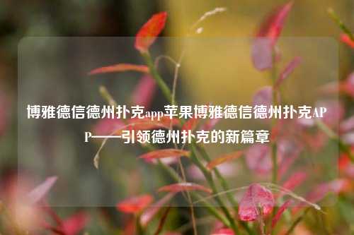 博雅德信德州扑克app苹果博雅德信德州扑克APP——引领德州扑克的新篇章