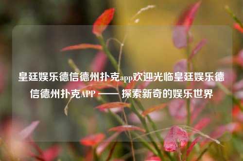 皇廷娱乐德信德州扑克app欢迎光临皇廷娱乐德信德州扑克APP —— 探索新奇的娱乐世界
