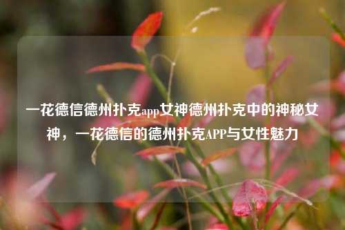 一花德信德州扑克app女神德州扑克中的神秘女神，一花德信的德州扑克APP与女性魅力