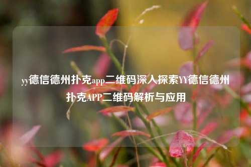 yy德信德州扑克app二维码深入探索YY德信德州扑克APP二维码解析与应用