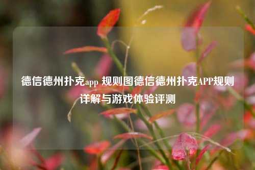 德信德州扑克app 规则图德信德州扑克APP规则详解与游戏体验评测