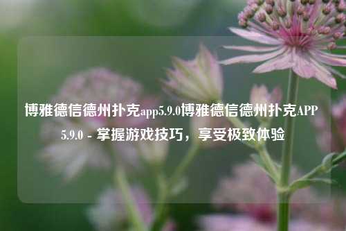 博雅德信德州扑克app5.9.0博雅德信德州扑克APP 5.9.0 - 掌握游戏技巧，享受极致体验