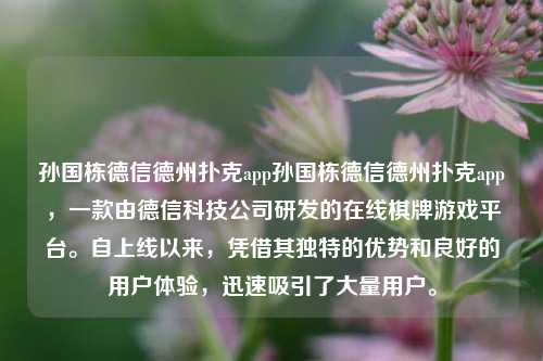 孙国栋德信德州扑克app孙国栋德信德州扑克app，一款由德信科技公司研发的在线棋牌游戏平台。自上线以来，凭借其独特的优势和良好的用户体验，迅速吸引了大量用户。