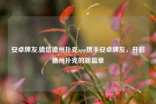 安卓牌友.德信德州扑克app携手安卓牌友，开启德州扑克的新篇章