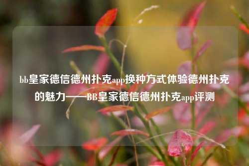 bb皇家德信德州扑克app换种方式体验德州扑克的魅力——BB皇家德信德州扑克app评测