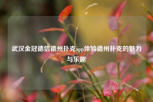 武汉金冠德信德州扑克app体验德州扑克的魅力与乐趣