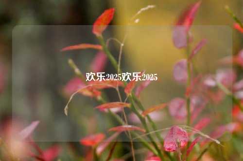 欢乐2025欢乐2025
