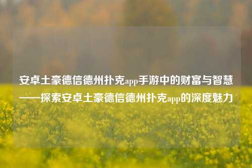 安卓土豪德信德州扑克app手游中的财富与智慧——探索安卓土豪德信德州扑克app的深度魅力
