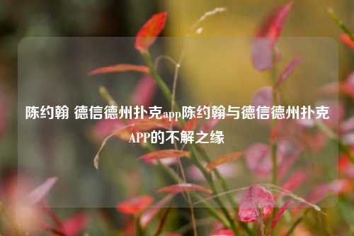陈约翰 德信德州扑克app陈约翰与德信德州扑克APP的不解之缘