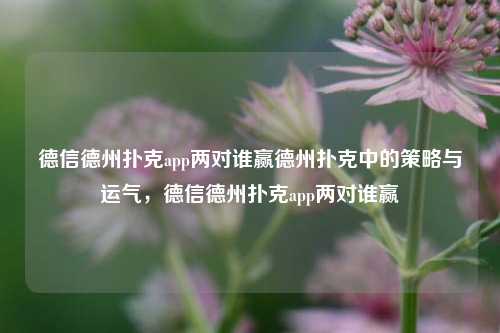 德信德州扑克app两对谁赢德州扑克中的策略与运气，德信德州扑克app两对谁赢
