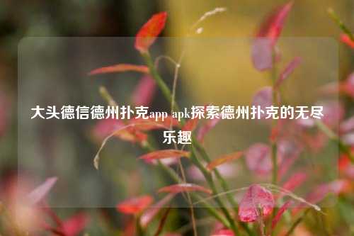 大头德信德州扑克app apk探索德州扑克的无尽乐趣