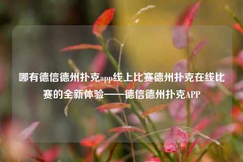 哪有德信德州扑克app线上比赛德州扑克在线比赛的全新体验——德信德州扑克APP