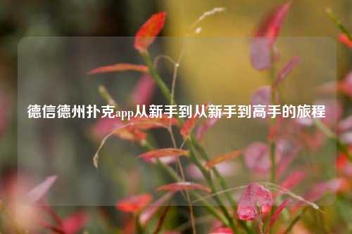 德信德州扑克app从新手到从新手到高手的旅程