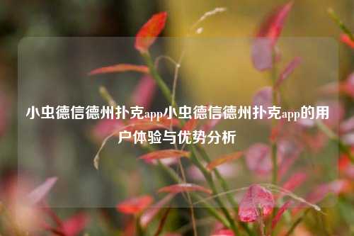 小虫德信德州扑克app小虫德信德州扑克app的用户体验与优势分析