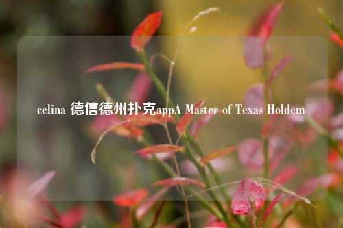 celina 德信德州扑克appA Master of Texas Holdem