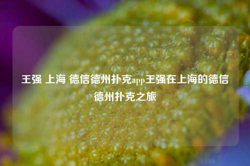 王强 上海 德信德州扑克app王强在上海的德信德州扑克之旅