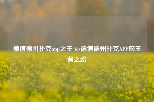 德信德州扑克app之王 ios德信德州扑克APP的王者之路