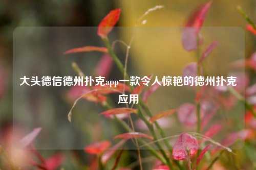 大头德信德州扑克app一款令人惊艳的德州扑克应用
