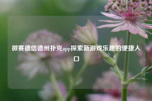 微赛德信德州扑克app探索新游戏乐趣的便捷入口