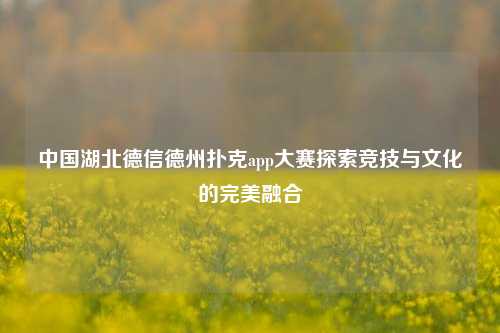 中国湖北德信德州扑克app大赛探索竞技与文化的完美融合