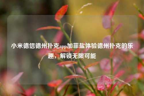 小米德信德州扑克app加菲盐体验德州扑克的乐趣，解锁无限可能