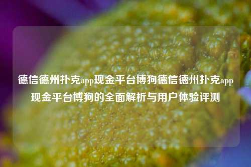 德信德州扑克app现金平台博狗德信德州扑克app现金平台博狗的全面解析与用户体验评测