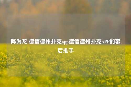 陈为龙 德信德州扑克app德信德州扑克APP的幕后推手