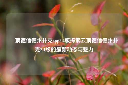 雲顶德信德州扑克app2.4版探索云顶德信德州扑克2.4版的最新动态与魅力