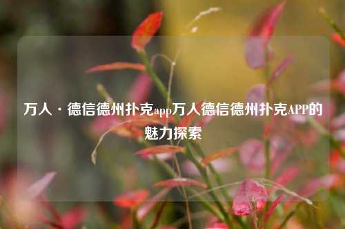 万人·德信德州扑克app万人德信德州扑克APP的魅力探索