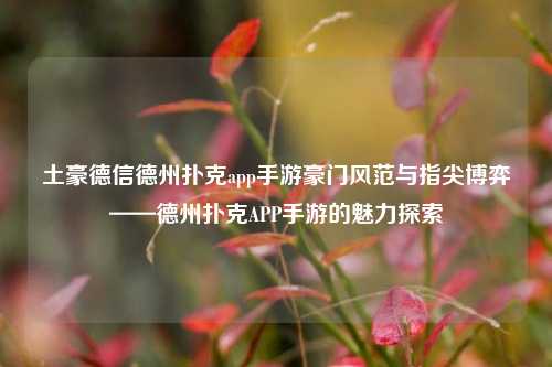 土豪德信德州扑克app手游豪门风范与指尖博弈——德州扑克APP手游的魅力探索