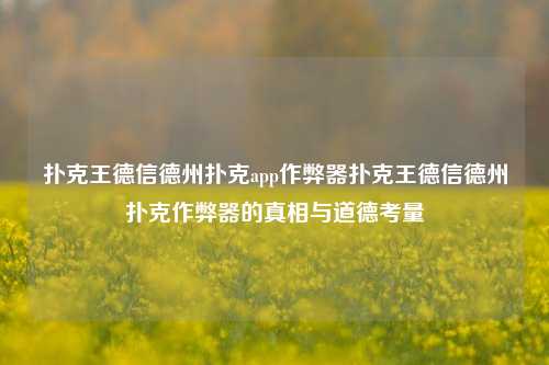扑克王德信德州扑克app作弊器扑克王德信德州扑克作弊器的真相与道德考量