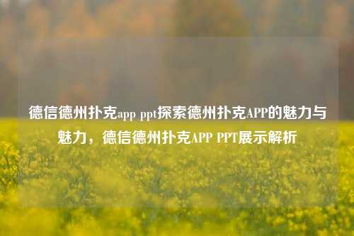 德信德州扑克app ppt探索德州扑克APP的魅力与魅力，德信德州扑克APP PPT展示解析
