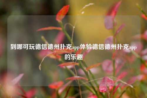 到哪可玩德信德州扑克app体验德信德州扑克app的乐趣