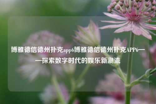 博雅德信德州扑克app6博雅德信德州扑克APP6——探索数字时代的娱乐新潮流