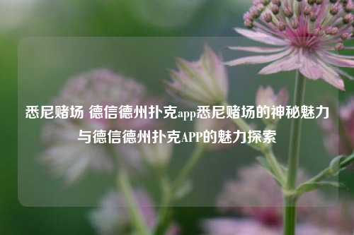 悉尼赌场 德信德州扑克app悉尼赌场的神秘魅力与德信德州扑克APP的魅力探索