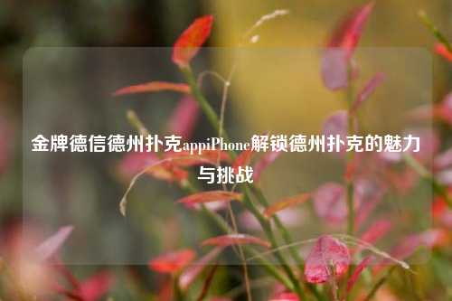 金牌德信德州扑克appiPhone解锁德州扑克的魅力与挑战